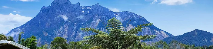 Mountain vista