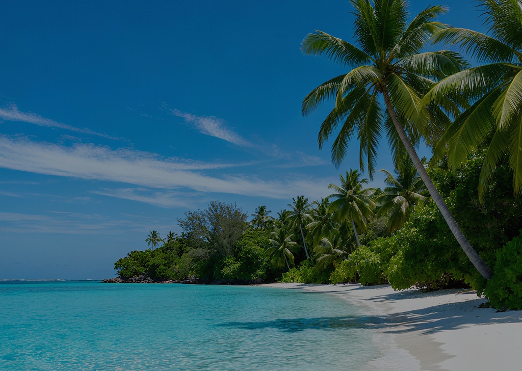 Dreamtel Sabandar Beach Resort
